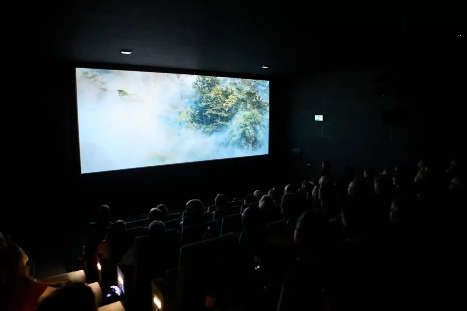 Filme für die Erde – Bild 3